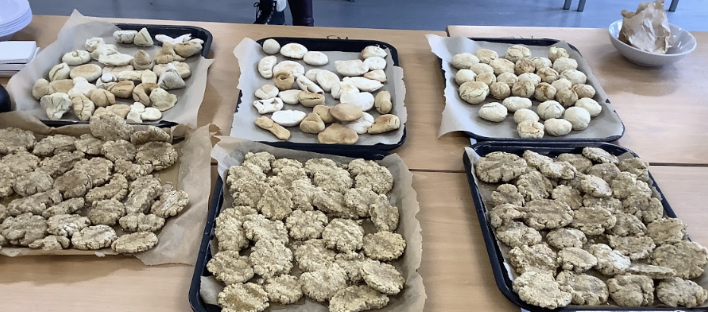 A photo showing six baking trays laid out on a desk. Each tray is shown carrying a selection of different stones and pebbles collected by pupils.