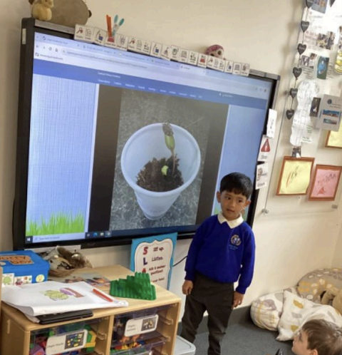 A young boy from Nursery is pictured standing at the front of his class, beside the Interactive Board on the wall, showing a photo of a plant.