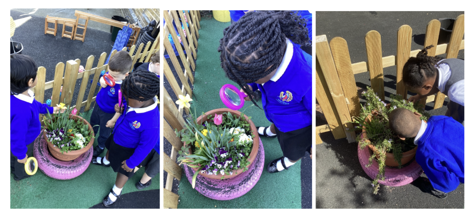 Students looking in flower pots