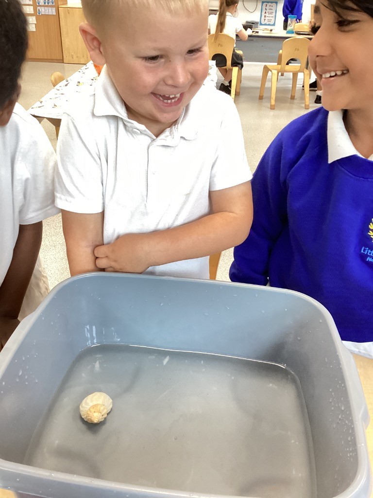 Two young boys, one in a white polo shirt and the other in a blue top, are standing beside a grey tub filled with water. A small, light-colored object is floating or resting at the bottom of the tub. The boy in the white shirt is smiling and looking at the object.
