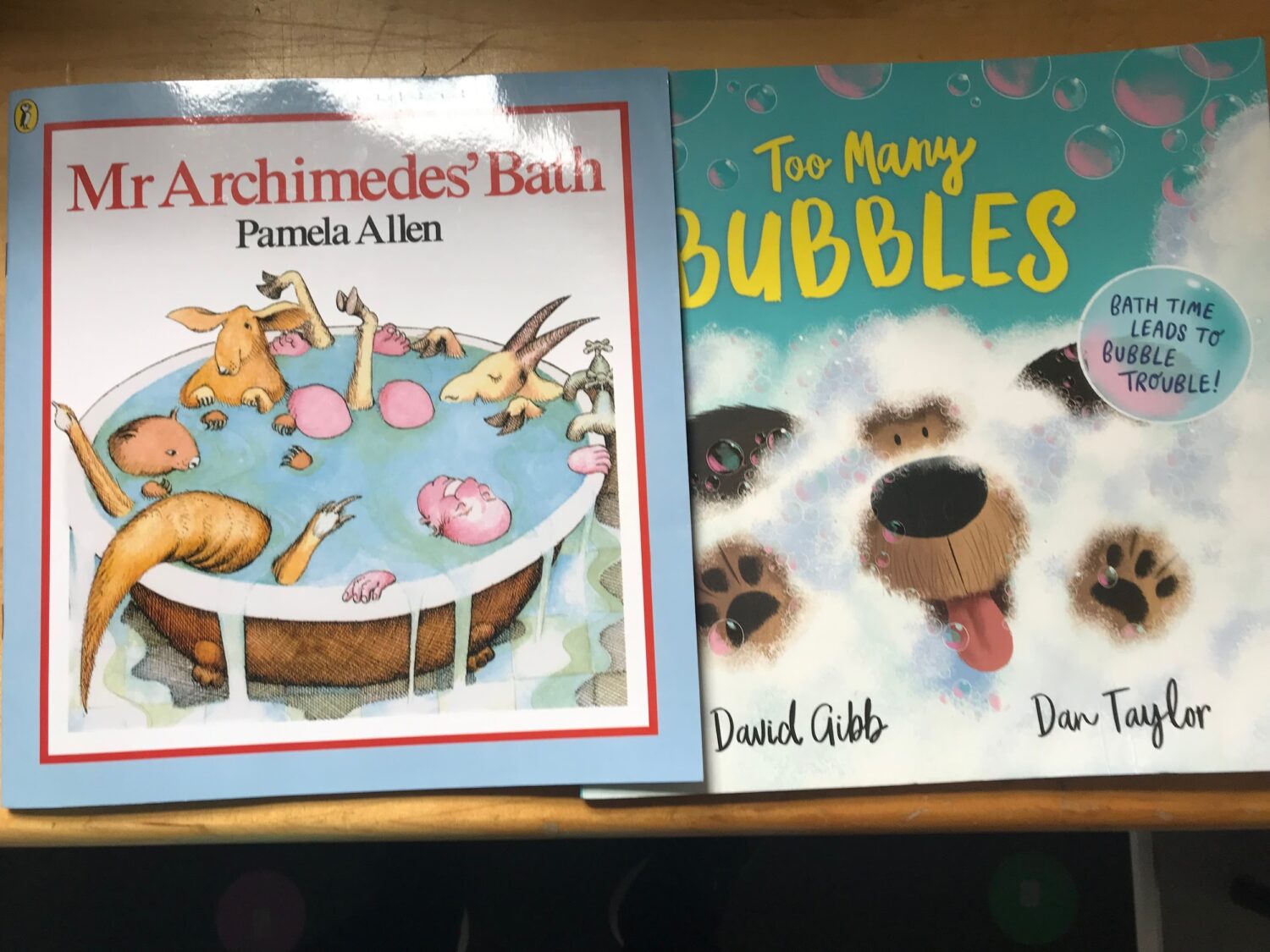 Two children's books are laid flat. The book on the left is "Mr Archimedes' Bath" by Pamela Allen, featuring an illustration of various animals in a bathtub. The book on the right is "Too Many Bubbles" by David Gibb and Dan Taylor, with an illustration of a dog covered in bubbles.