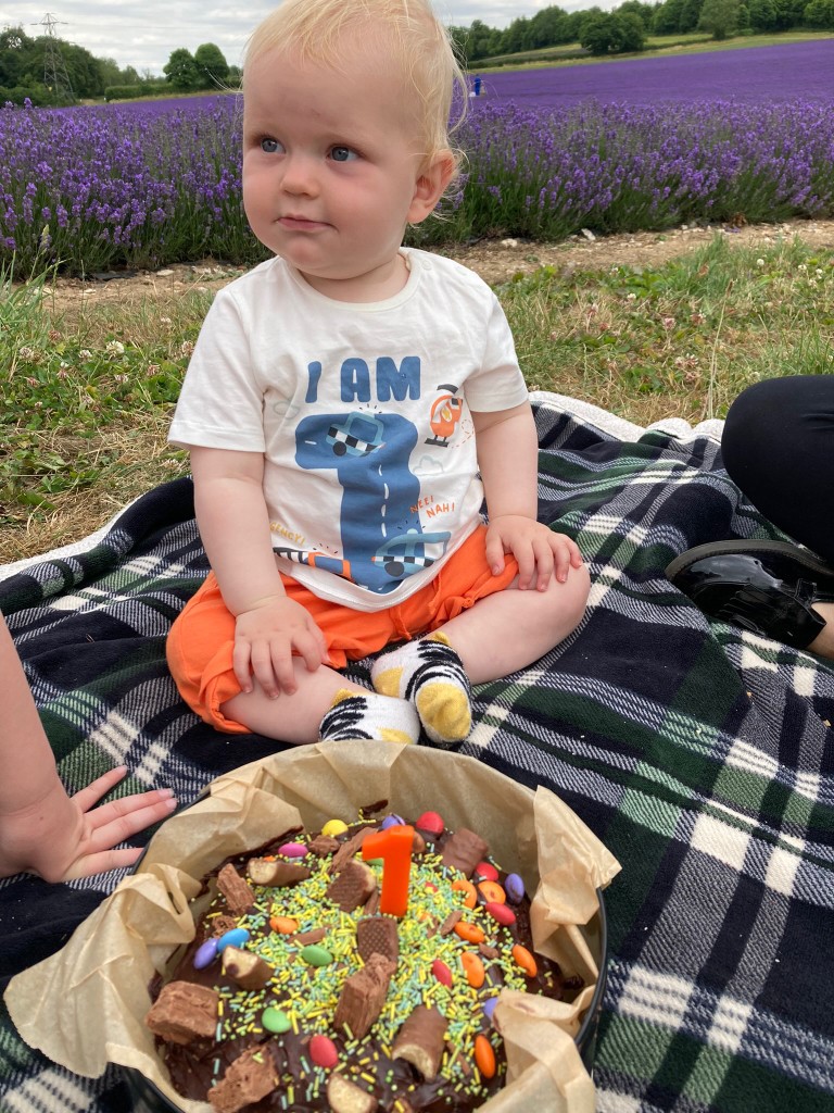 A baby is sitting on a plaid blanket outdoors in front of a field of purple flowers (likely lavender). There's a cake with a "1" candle and various candies in front of the baby, suggesting a first birthday celebration.