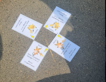 close-up view of four cards on the ground, clearly showing the character names ("Pikachu," "Raichu") and the math problems written on them. This confirms the educational nature of the game.
