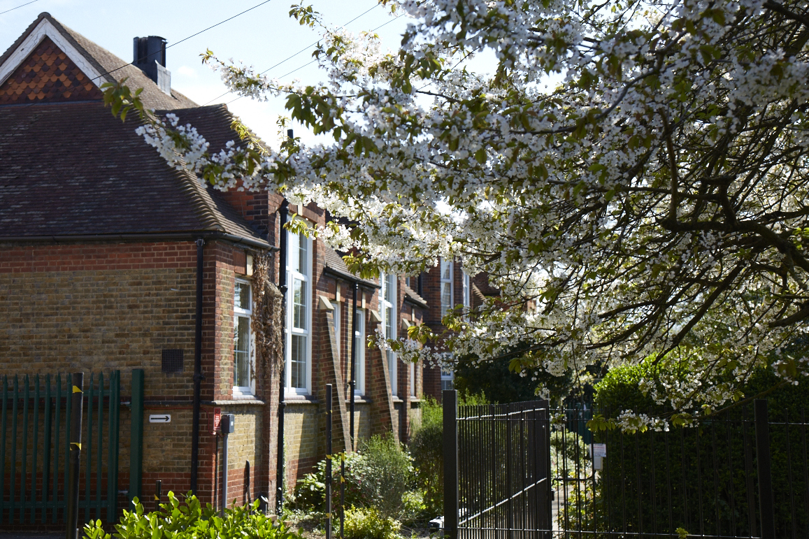 An external view of the Dartford Primary Academy building at York Road, featuring a blossoming tree in the foreground.