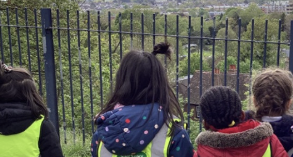 A group of DPA pupils are pictured looking out over a housing estate from a hilltop, during a school trip.