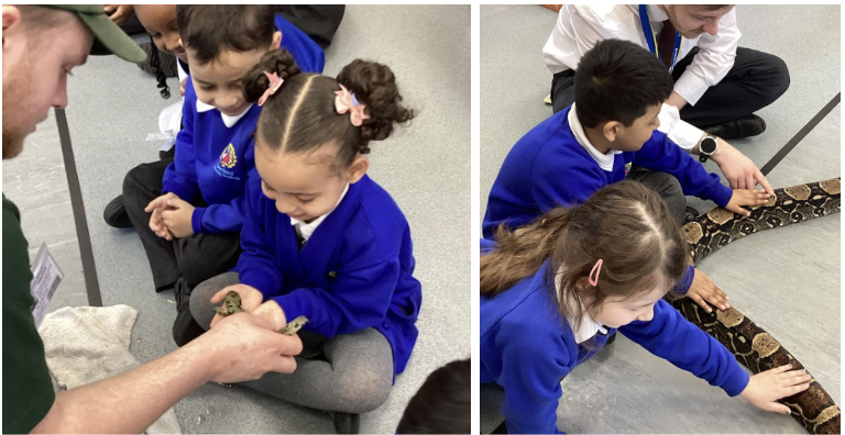 Students being shown an animal