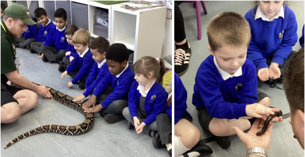 Students being shown an animal