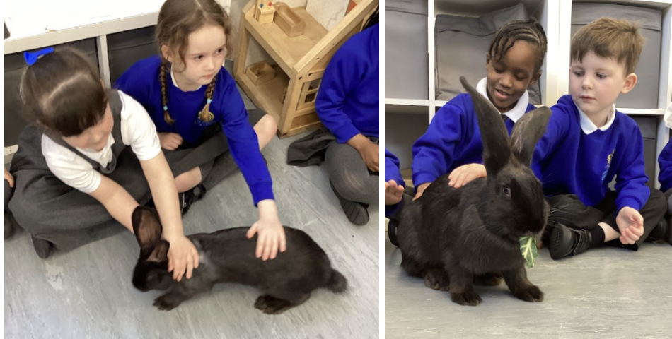 Students being shown an animal