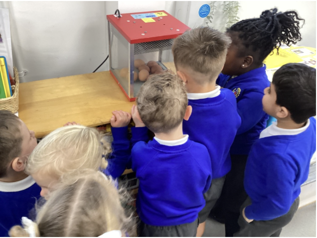 Students looking at an egg incubator