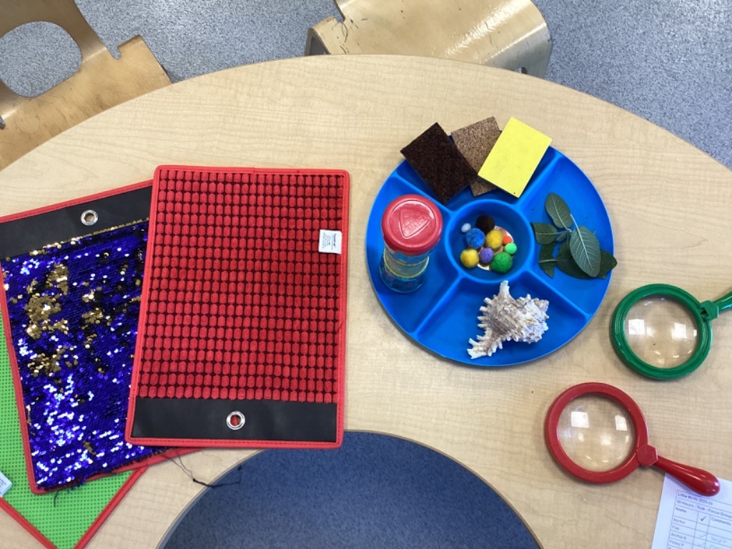 This image shows a collection of sensory materials laid out on a blue divided tray and next to it on the table. The items include pieces of fabric/felt, small pom-poms, leaves, a seashell, a shaker, and two magnifying glasses (red and green), clearly setting up an activity for touch and visual exploration.