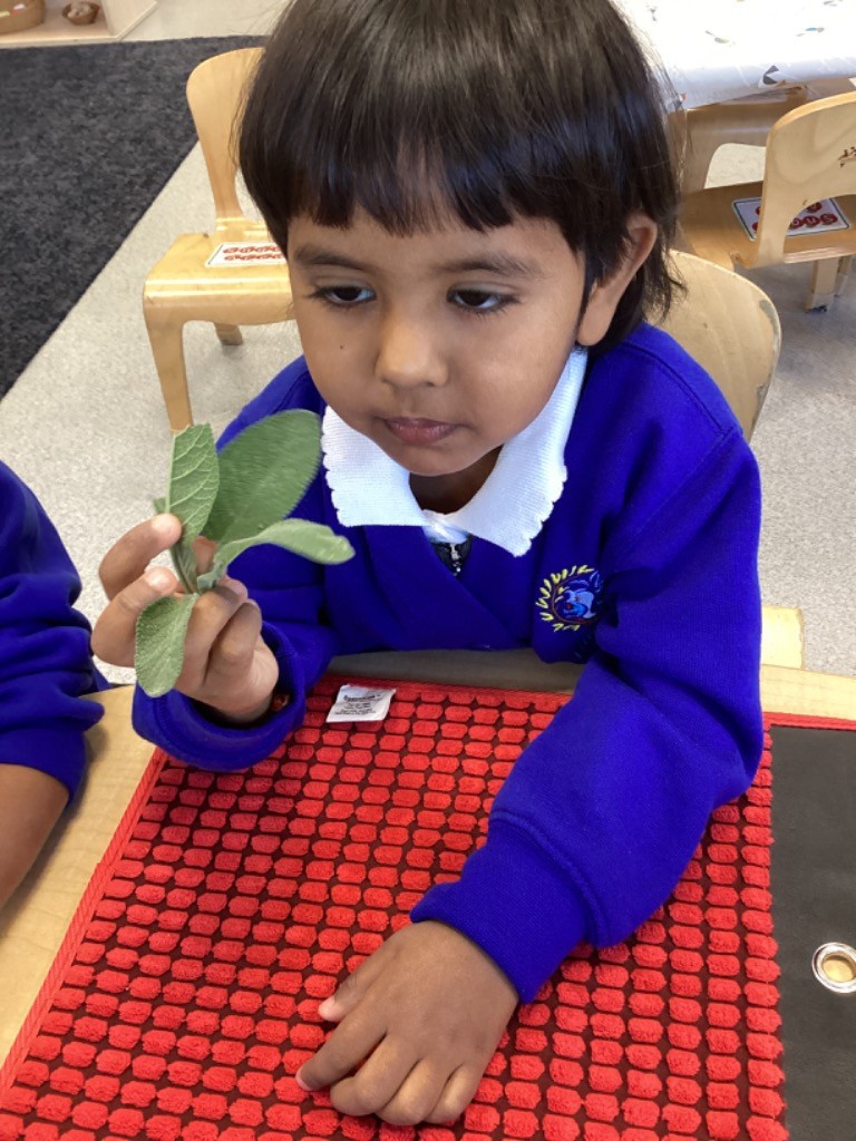 A girl is closely examining a leaf or herb sprig while touching a red, highly textured mat. This is a focused sensory activity that engages both sight and touch.