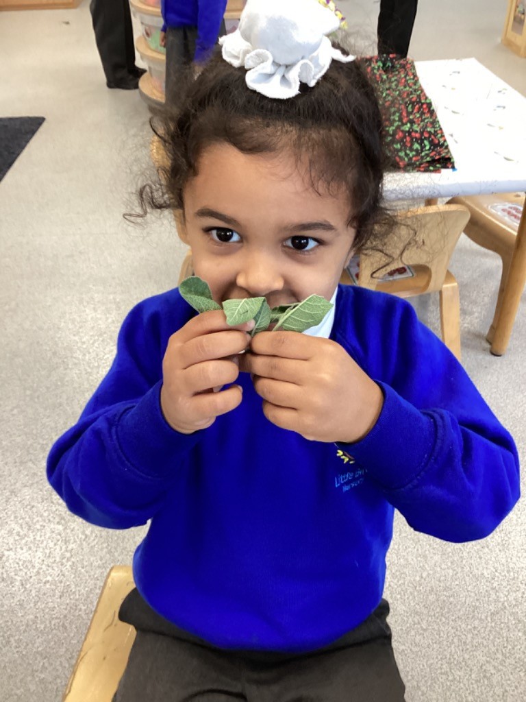 A girl is smiling and holding a sprig of leaves (likely the same herb as in LB11) right up to her face, suggesting she might be smelling or gently exploring the texture with her mouth, as part of a multi-sensory activity.