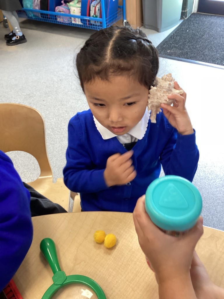 A girl is holding a seashell up to her ear, a classic activity to "hear the ocean," while other sensory objects (magnifying glass, yellow pom-poms) are on the table, focusing on the sense of hearing.