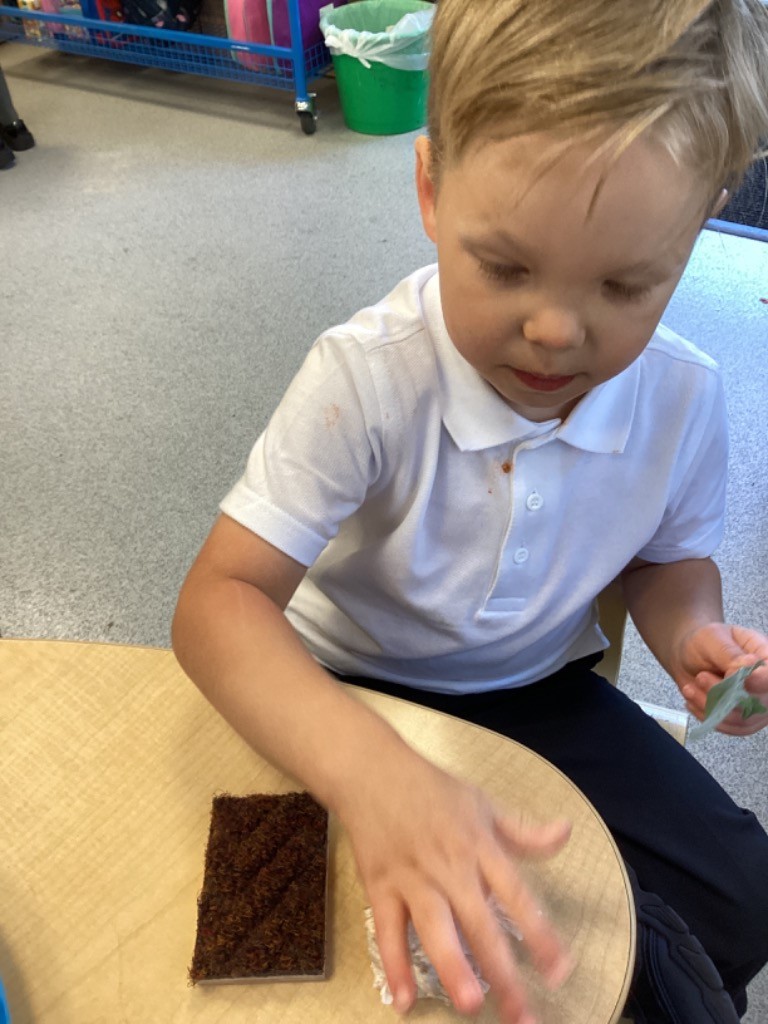 A boy is seated at a table, touching a textured brown block (similar to the cork/moss seen elsewhere) and a piece of white material, suggesting a tactile sensory experience focused on different textures.