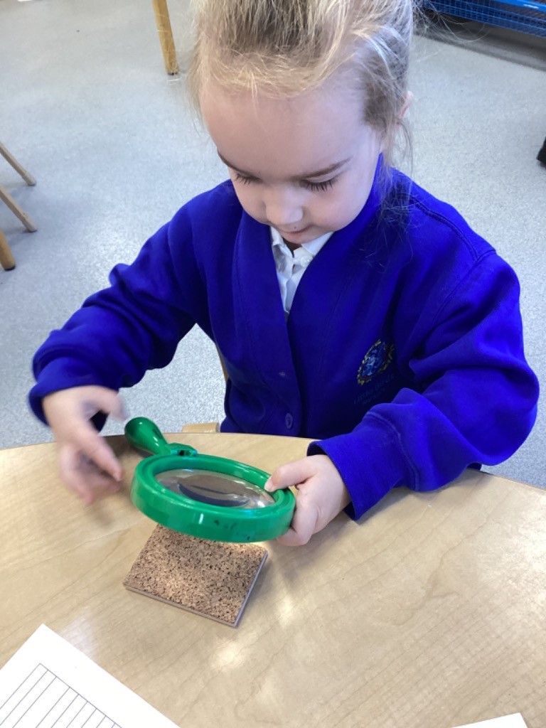A girl is using a large, green-handled magnifying glass to examine a small, textured cork tile on a table, suggesting an up-close observation activity.