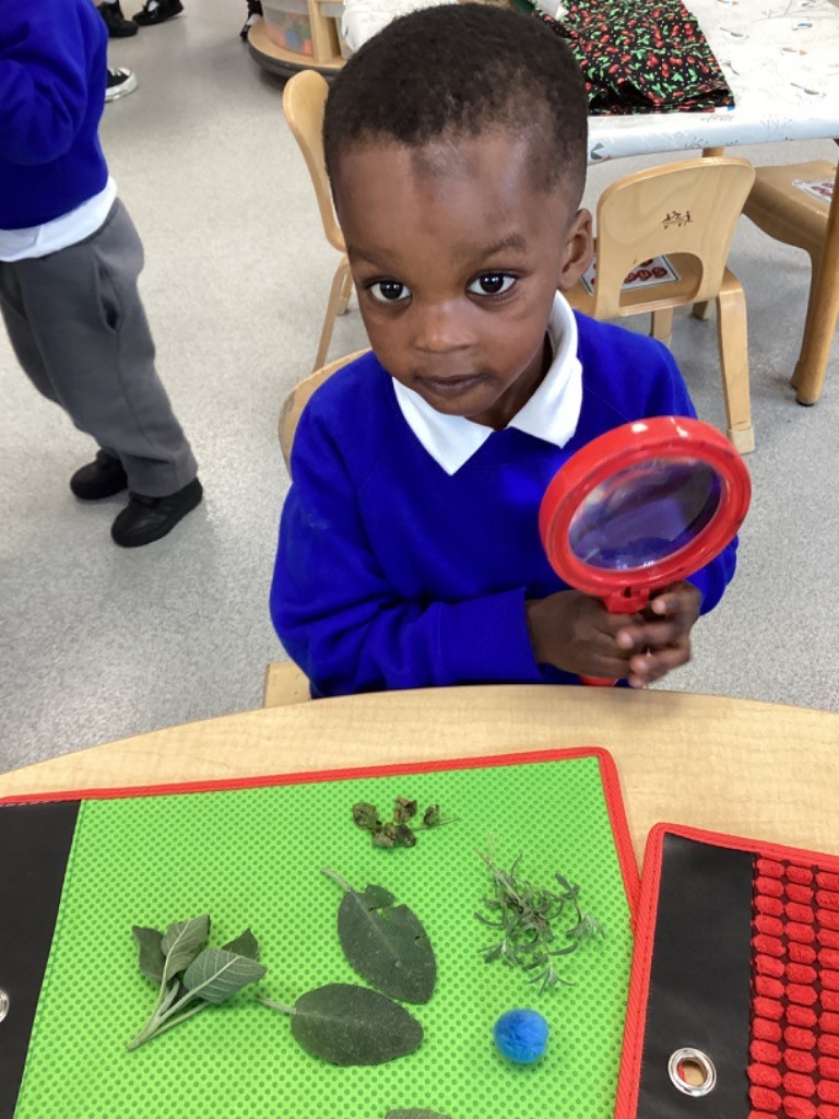 A boy is holding a red-handled magnifying glass while looking directly at the camera. In front of him are various natural and artificial items on a green mat, including leaves, seeds, a small pom-pom, and herbs, indicating a structured sensory play or scientific investigation.
