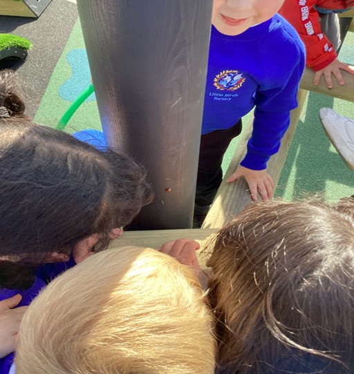 A group of children huddle together outdoors, leaning in closely to observe a tiny ladybird crawling on a dark grey playground post.